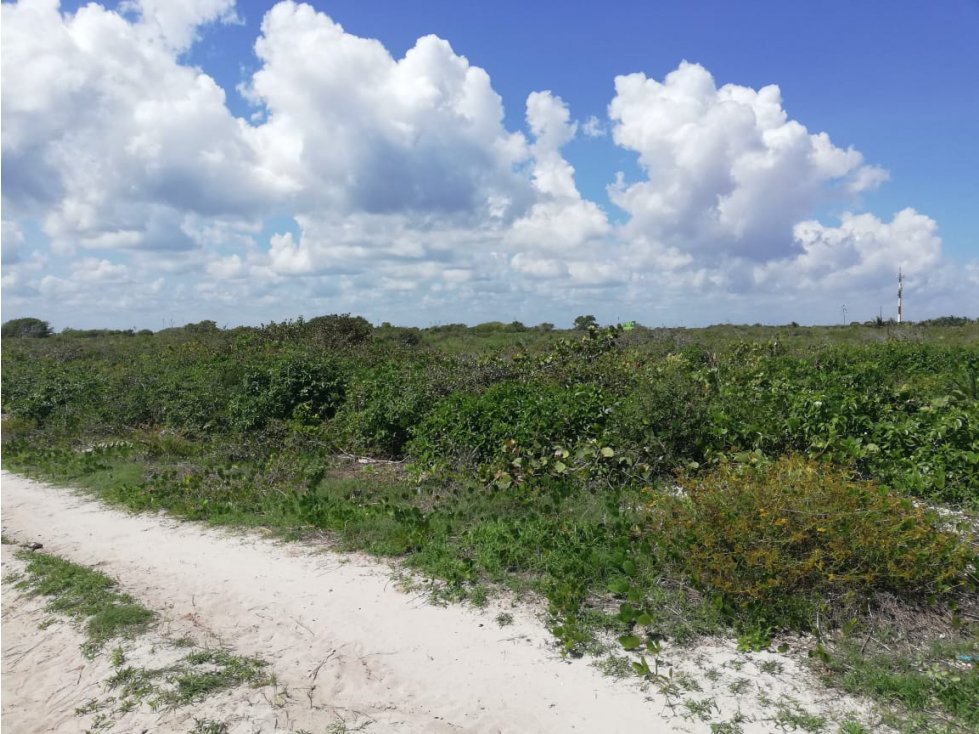 TERRENOS LATERALES EN SAN BENITO, YUCATÁN