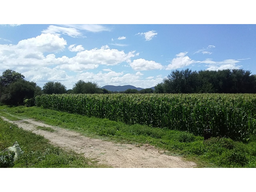 TERRENO EN VENTA EN SANTIAGO DE ANAYA