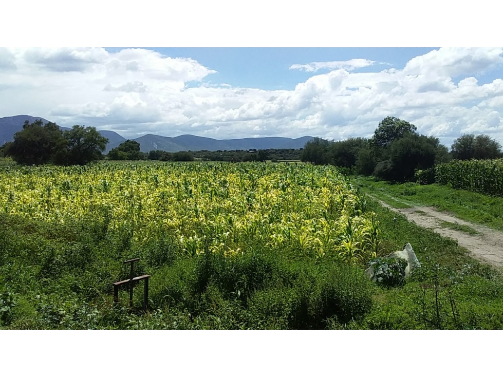 TERRENO EN VENTA EN SANTIAGO DE ANAYA 2