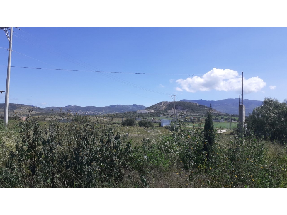 Terreno en Renta Carretera Pachuca  Actopan   Hidalgo