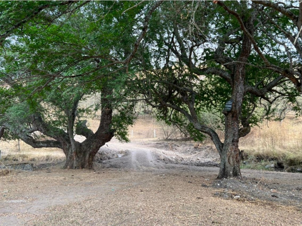 Terreno Campestre en San José Vista Hermosa, Puente de Ixtla, Morelos