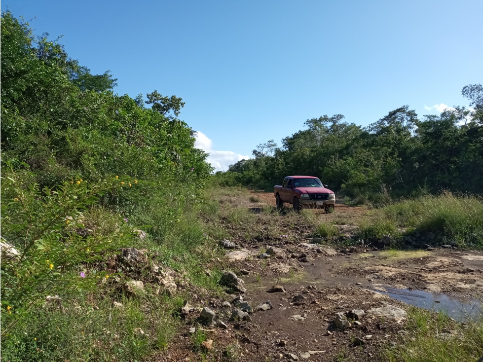 Terreno de 4 hectáreas con frente de sábana cerca Leona vicario