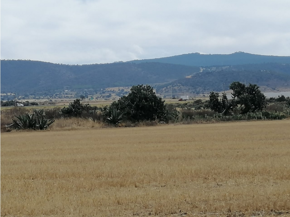 VENTA DE TERRENO GUADALUPE SANTA RITA MPIO. DE ZEMPOALA,HGO