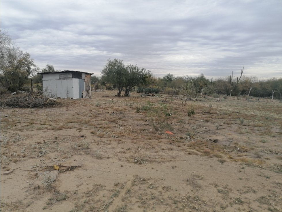 Terreno en venta en San Pedro El Saucito