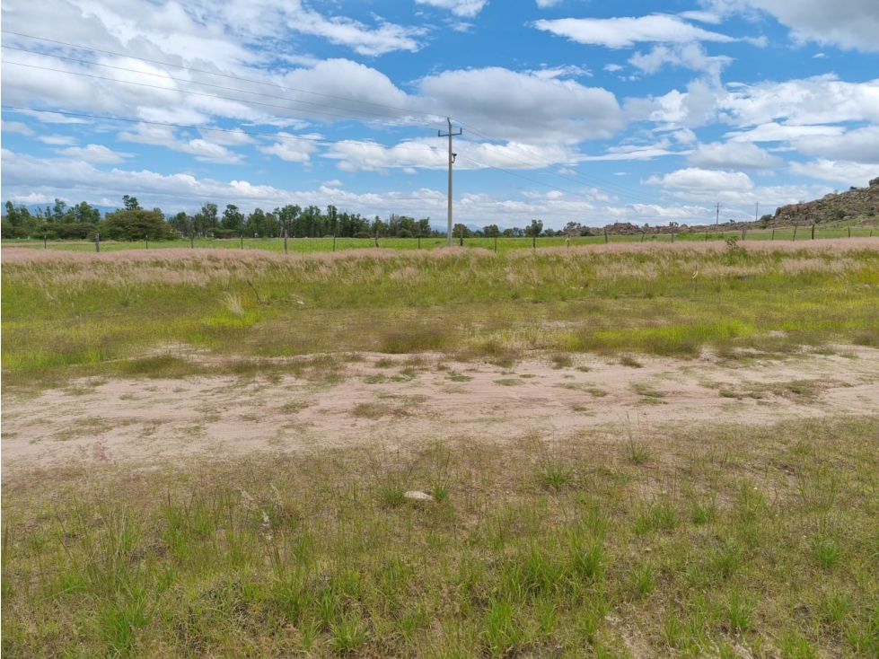 TERRENO CAMPESTRE EN VENTA.