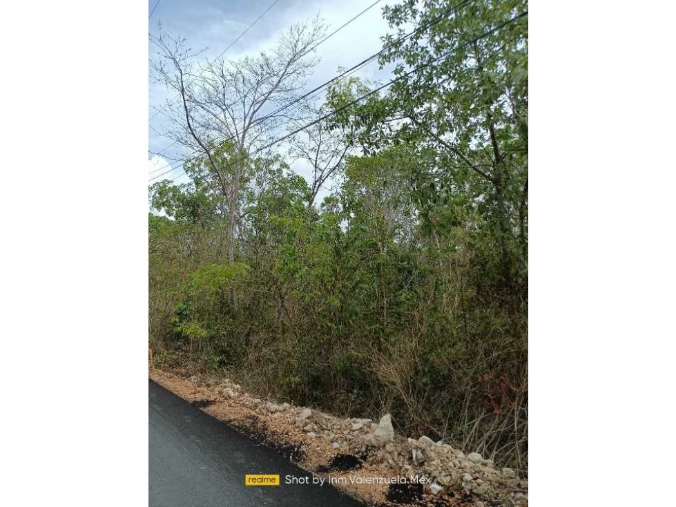 TERRENOS EN VENTA EN EL CENTRO DE CANCUN