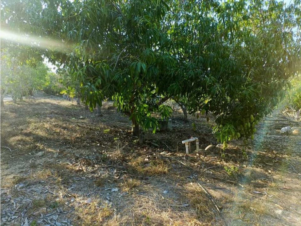 Vendo lotes aun costado del camino a loma bonita.