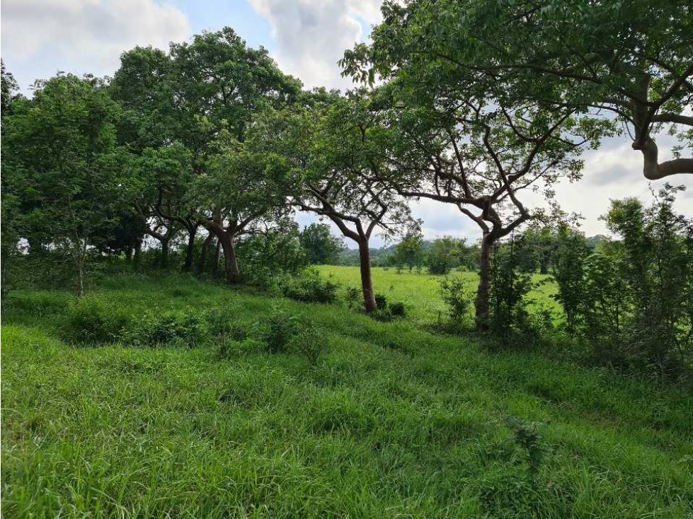 venta de rancho en naranjos ver.